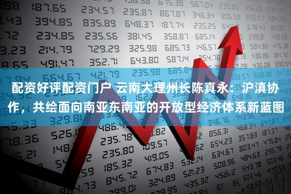 配资好评配资门户 云南大理州长陈真永：沪滇协作，共绘面向南亚东南亚的开放型经济体系新蓝图
