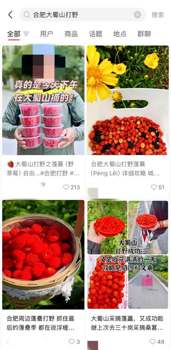 门户网配资 市民热衷大蜀山“打野”？公园回应：不仅违规也不安全_大皖新闻 | 安徽网