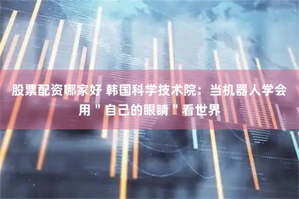 股票配资哪家好 韩国科学技术院：当机器人学会用＂自己的眼睛＂看世界